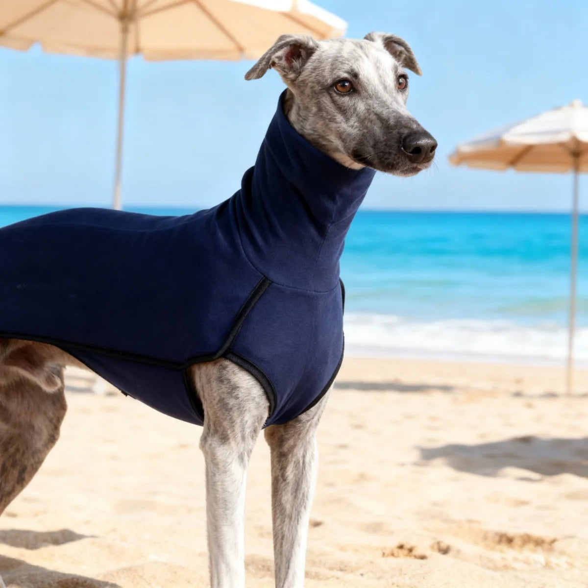 Dog Winter Coat Pajamas Onesies Turtleneck Stretch Greyhound Apparel Pet Clothes Coat Outfit for Medium, Large