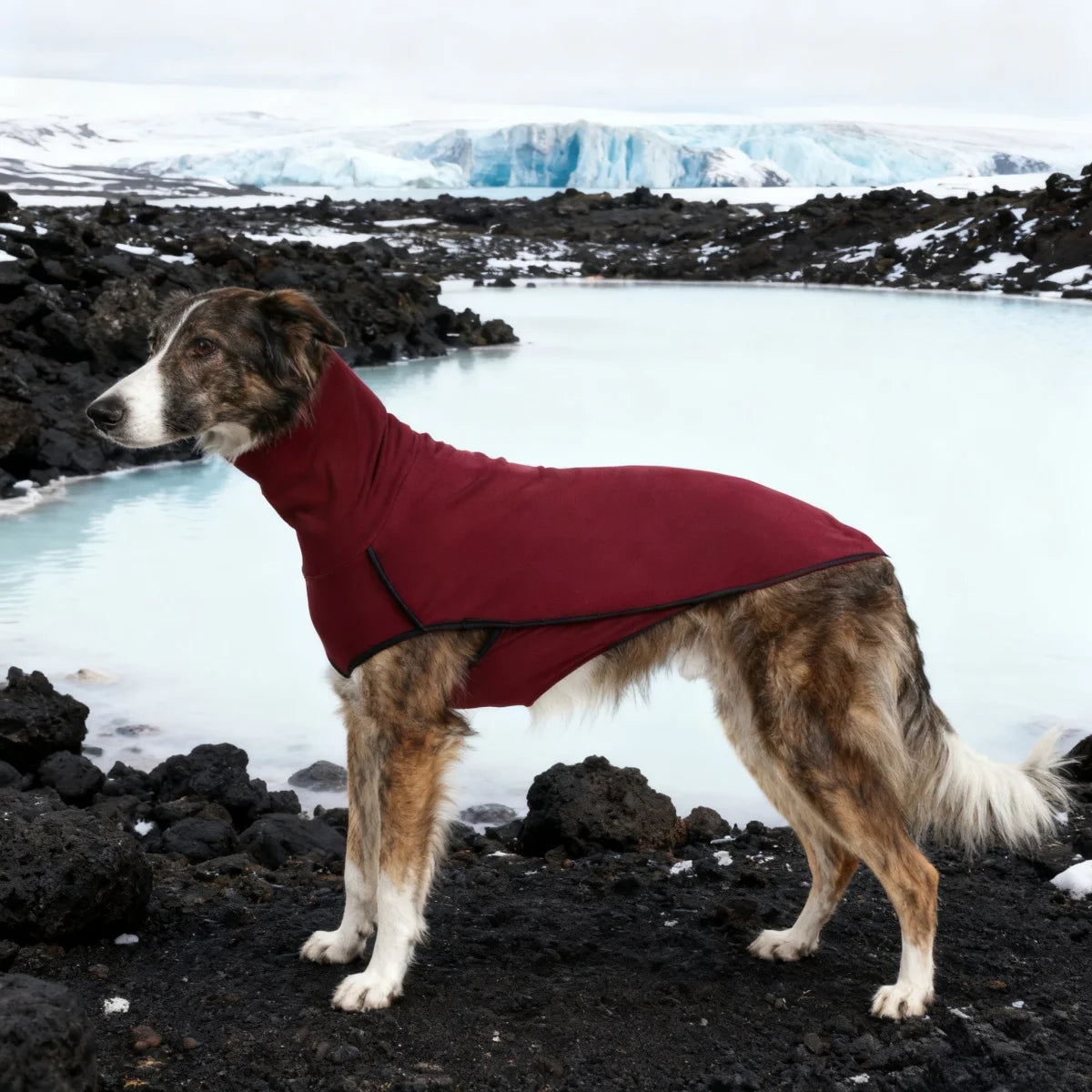 Dog Winter Coat Pajamas Onesies Turtleneck Stretch Greyhound Apparel Pet Clothes Coat Outfit for Medium, Large