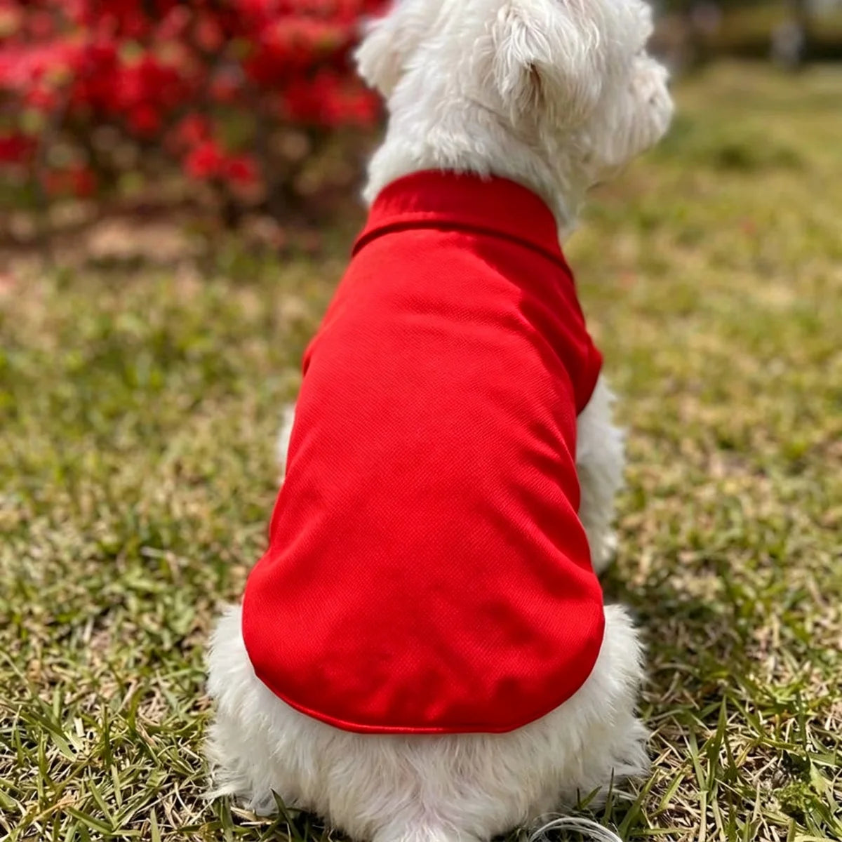 Solid Color Polo Shirt Puppy Thin Breathable T-shirt Cat Vest Bipod Pet Clothing Skin Friendly and Delicate