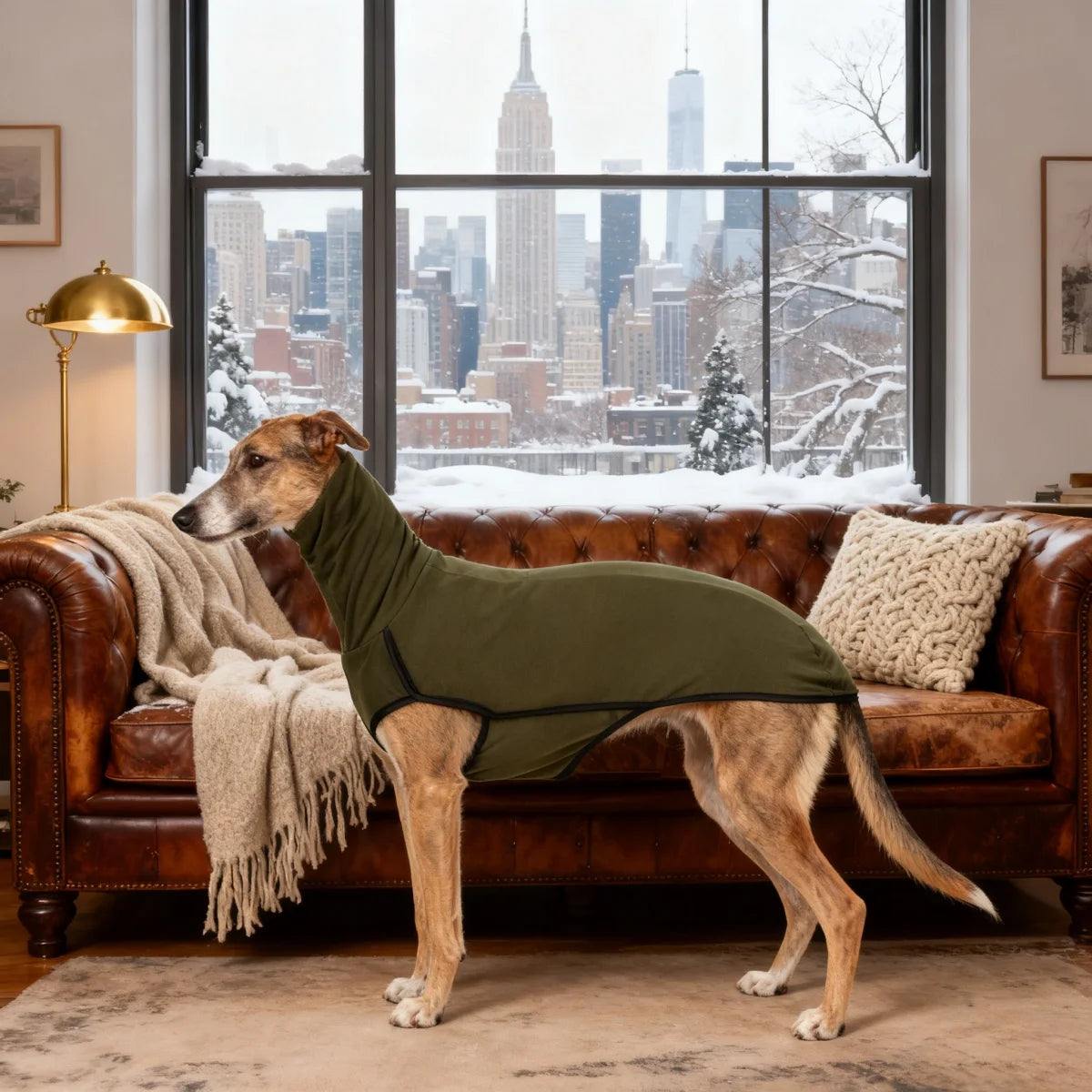 Dog Winter Coat Pajamas Onesies Turtleneck Stretch Greyhound Apparel Pet Clothes Coat Outfit for Medium, Large
